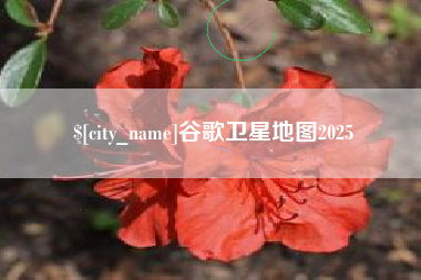 博尔塔拉谷歌卫星地图2025