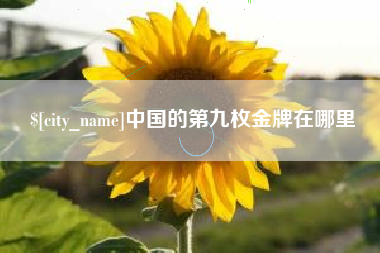 博尔塔拉中国的第九枚金牌在哪里