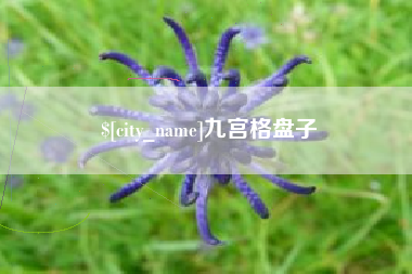 博尔塔拉九宫格盘子
