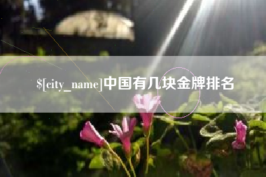 博尔塔拉中国有几块金牌排名