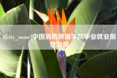 博尔塔拉中国消防救援学院毕业就业前景如何