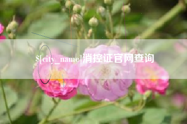 博尔塔拉消控证官网查询