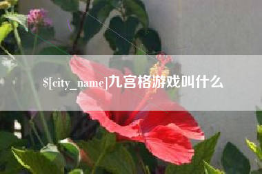 博尔塔拉九宫格游戏叫什么
