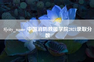 博尔塔拉中国消防救援学院2021录取分数