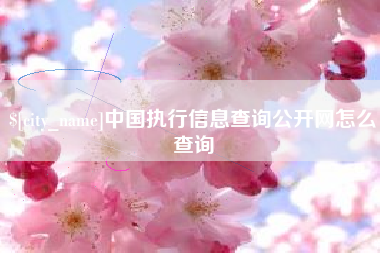 博尔塔拉中国执行信息查询公开网怎么查询