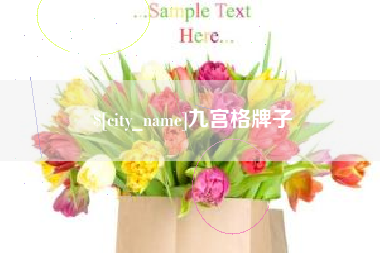 博尔塔拉九宫格牌子