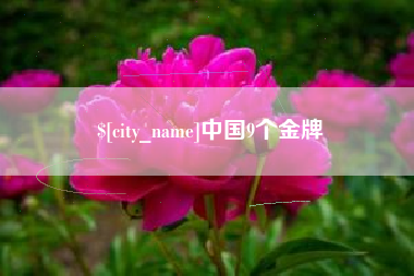 博尔塔拉中国9个金牌