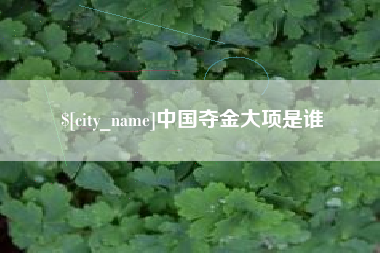 博尔塔拉中国夺金大项是谁