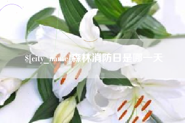 博尔塔拉森林消防日是哪一天