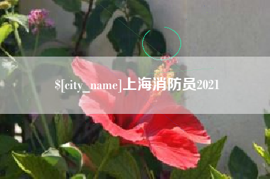 博尔塔拉上海消防员2021