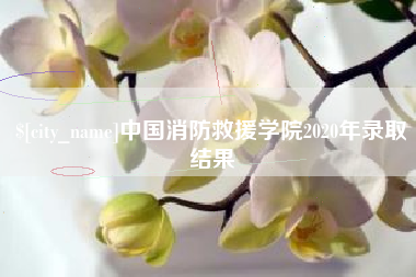 博尔塔拉中国消防救援学院2020年录取结果
