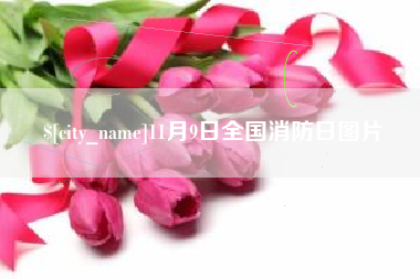 博尔塔拉11月9日全国消防日图片