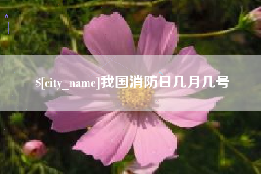博尔塔拉我国消防日几月几号