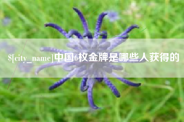 博尔塔拉中国6枚金牌是哪些人获得的