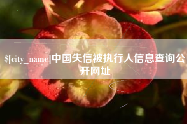 博尔塔拉中国失信被执行人信息查询公开网址