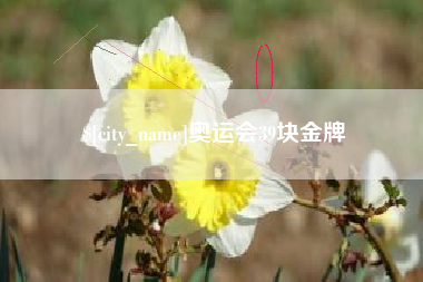 博尔塔拉奥运会39块金牌