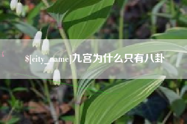 博尔塔拉九宫为什么只有八卦