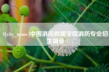 博尔塔拉中国消防救援学院消防专业招生简章