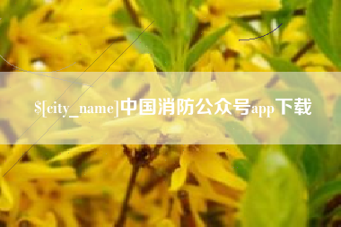 博尔塔拉中国消防公众号app下载