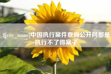 博尔塔拉中国执行案件查询公开网都是执行不了得案子