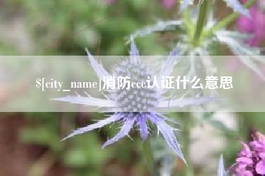 博尔塔拉消防ccc认证什么意思