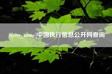 博尔塔拉中国执行信息公开网查询