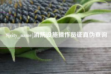 博尔塔拉消防设施操作员证真伪查询