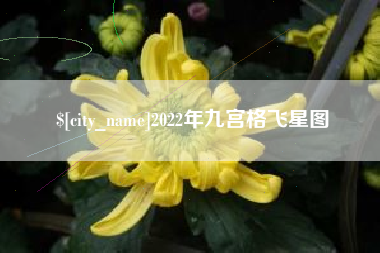 博尔塔拉2022年九宫格飞星图
