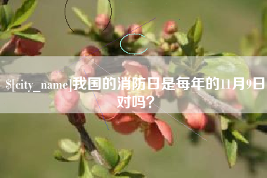 博尔塔拉我国的消防日是每年的11月9日对吗？