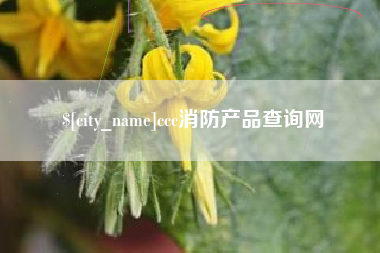 博尔塔拉ccc消防产品查询网