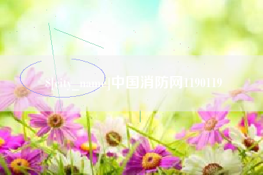 博尔塔拉中国消防网1190119