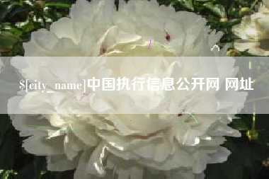 博尔塔拉中国执行信息公开网 网址