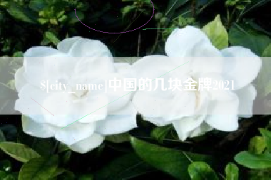 博尔塔拉中国的几块金牌2021