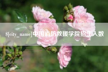 博尔塔拉中国消防救援学院招生人数