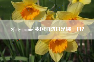 博尔塔拉我国消防日是哪一日？