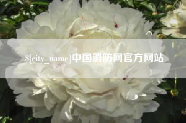 博尔塔拉中国消防网官方网站