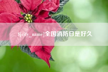 博尔塔拉全国消防日是好久