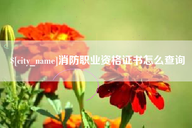 博尔塔拉消防职业资格证书怎么查询