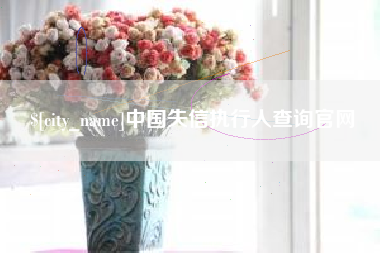 博尔塔拉中国失信执行人查询官网