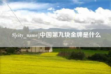 博尔塔拉中国第九块金牌是什么