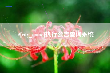 博尔塔拉执行公告查询系统