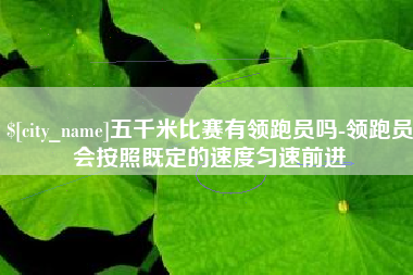博尔塔拉五千米比赛有领跑员吗-领跑员会按照既定的速度匀速前进