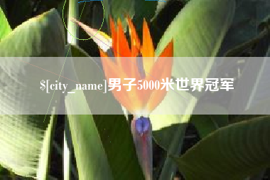 博尔塔拉男子5000米世界冠军
