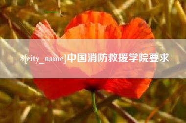 博尔塔拉中国消防救援学院要求