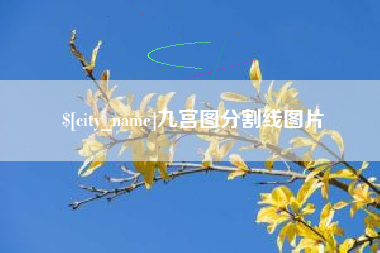 博尔塔拉九宫图分割线图片