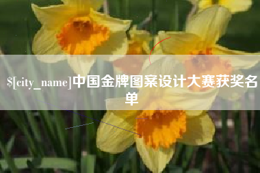博尔塔拉中国金牌图案设计大赛获奖名单