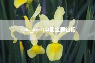 博尔塔拉中国金牌包括