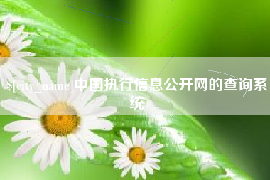 博尔塔拉中国执行信息公开网的查询系统
