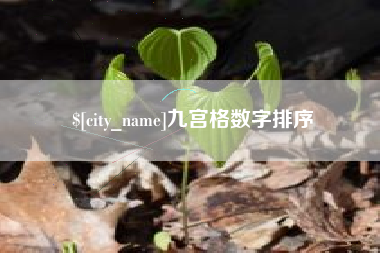 博尔塔拉九宫格数字排序