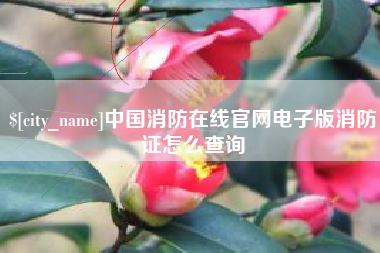 博尔塔拉中国消防在线官网电子版消防证怎么查询